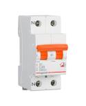 Magnetotermico Rx3 1P+N 25A - Pro 419928 Legrand