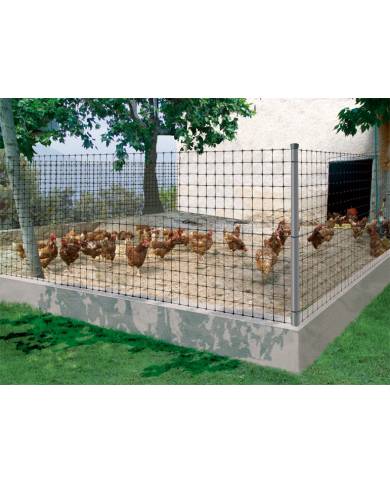 comprar Malla gallinera Avinet 36 2x200m negra. 170613 Nortene de NORTENE - Mallas, cañizos y celosías comprar Malla gallinera Avinet 36 2x200m negra. 170613 Nortene de NORTENE - Mallas, cañizos y celosías