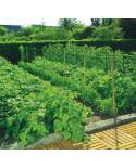MALLA ENTUTORAR TRELLINET 100 M X 2 M MALLA ENTUTORAR TRELLINET 100 M X 2 M