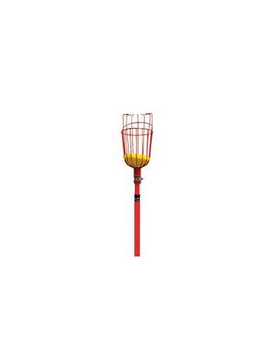 comprar Recoge fruta extensible 3.65m. FP2312 Corona de CORONA - Jardín comprar Recoge fruta extensible 3.65m. FP2312 Corona de CORONA - Jardín