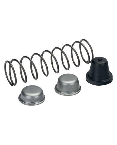 comprar Recambio de Tope + Muelle P123-19. R1068 Bahco de BAHCO - Poda y vendimia comprar Recambio de Tope + Muelle P123-19. R1068 Bahco de BAHCO - Poda y vendimia