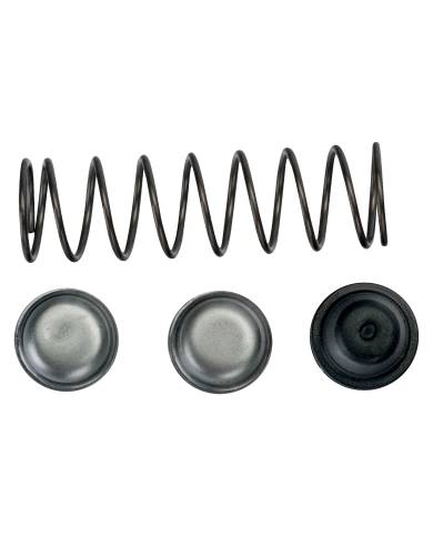 comprar Recambio de Tope + Muelle P123-19. R1068 Bahco de BAHCO - Poda y vendimia comprar Recambio de Tope + Muelle P123-19. R1068 Bahco de BAHCO - Poda y vendimia