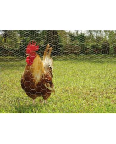 comprar Malla de triple torsión 19 Ø0.75mm. Rollo: 1x50m. S.I. Belloso de SUMINISTROS-IND.-BELLOSO - Inicio comprar Malla de triple torsión 19 Ø0.75mm. Rollo: 1x50m. S.I. Belloso de SUMINISTROS-IND.-BELLOSO - Inicio