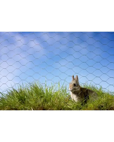 comprar Malla de triple torsión 51 Ø0.9mm. Rollo: 0.6x50m. MTT51096 S.I. Belloso de SUMINISTROS-IND.-BELLOSO - Inicio comprar Malla de triple torsión 51 Ø0.9mm. Rollo: 0.6x50m. MTT51096 S.I. Belloso de SUMINISTROS-IND.-BELLOSO - Inicio