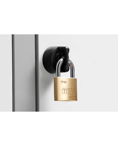 comprar Candado latón arco normal Serie Tifón 25mm. 72500\25 IFAM de IFAM - Candados