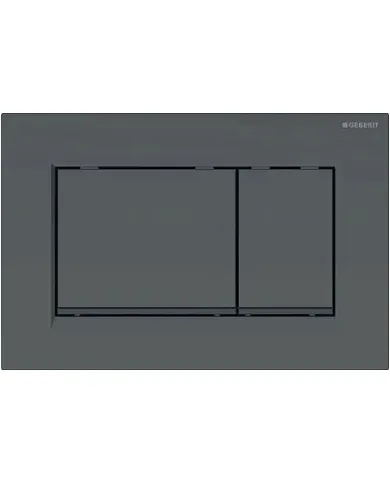 comprar Pulsador Geberit Sigma30 doble volumen de descarga Negro mate. R.883.16.1 Geberit de GEBERIT - Accesorios Baño