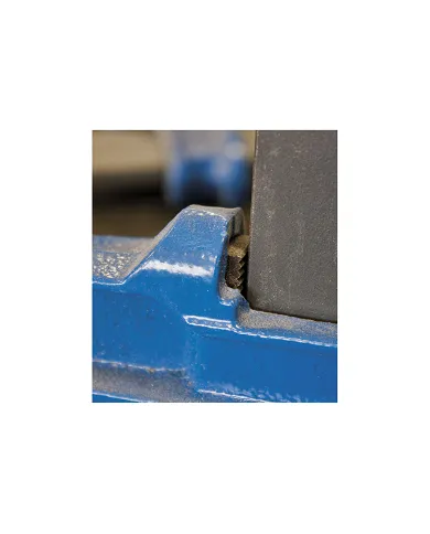 comprar Torniqueta Prensa Émbolo Modelo F. Alcance 12cm. Llanta 35x8mm. Arieto 100cm. 04100 Piher de PIHER - Herramientas manuales