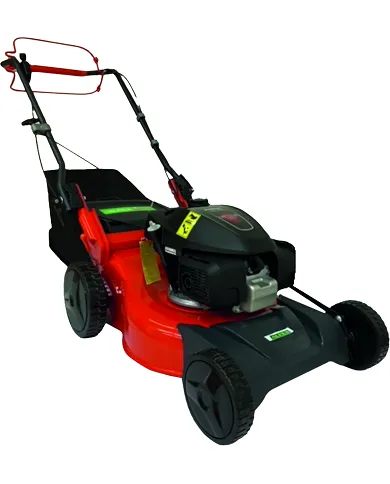 comprar Cortacésped 5000 SH PLUS 5.5HP 48cm 55 litros. Alpex de ALPEX - Cortacéspedes comprar Cortacésped 5000 SH PLUS 5.5HP 48cm 55 litros. Alpex de ALPEX - Cortacéspedes