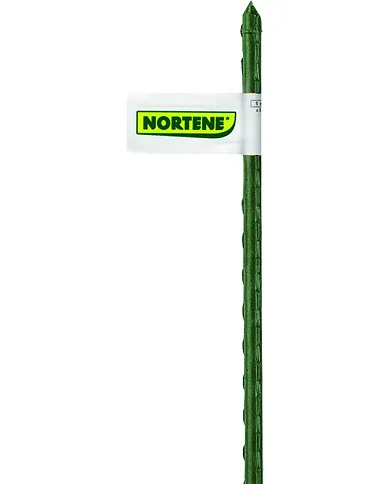 comprar 1 Tutor de acero plastificado Steel Plast color verde Ø8mm 0.6m. 140841 Nortene de NORTENE - Mallas, cañizos y celosías comprar 1 Tutor de acero plastificado Steel Plast color verde Ø8mm 0.6m. 140841 Nortene de NORTENE - Mallas, cañizos y celosías