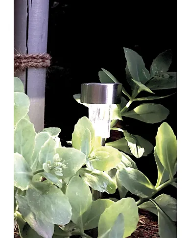 comprar 1 Baliza solar inox para iluminación de jardín Astra 28cm. 2014468 Nortene de NORTENE - Iluminación comprar 1 Baliza solar inox para iluminación de jardín Astra 28cm. 2014468 Nortene de NORTENE - Iluminación