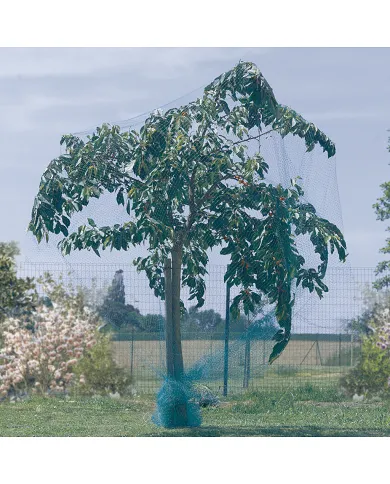 comprar Malla antipajaros Birdnet 2x10m verde. 120010 Nortene de NORTENE - Mallas, cañizos y celosías comprar Malla antipajaros Birdnet 2x10m verde. 120010 Nortene de NORTENE - Mallas, cañizos y celosías