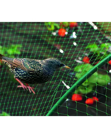 comprar Malla antipajaros Birdnet 4x12m verde. 120012 Nortene de NORTENE - Mallas, cañizos y celosías comprar Malla antipajaros Birdnet 4x12m verde. 120012 Nortene de NORTENE - Mallas, cañizos y celosías