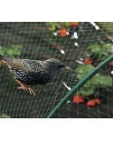 Malla antipajaros Birdnet 2x10m verde. 120010 Nortene Malla antipajaros Birdnet 2x10m verde. 120010 Nortene