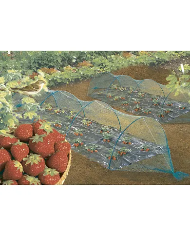 comprar Malla antipajaros Birdnet 4x12m verde. 120012 Nortene de NORTENE - Mallas, cañizos y celosías comprar Malla antipajaros Birdnet 4x12m verde. 120012 Nortene de NORTENE - Mallas, cañizos y celosías