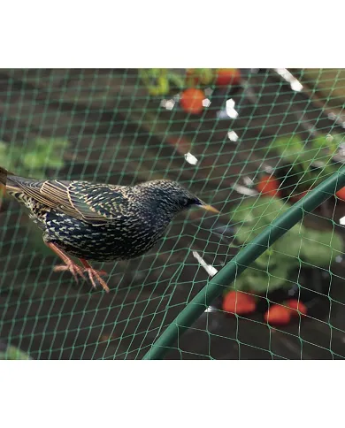 comprar Malla antipajaros Birdnet 4x12m verde. 120012 Nortene de NORTENE - Mallas, cañizos y celosías comprar Malla antipajaros Birdnet 4x12m verde. 120012 Nortene de NORTENE - Mallas, cañizos y celosías